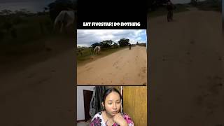 Eat fivestar Do nothing😅 meme funny funnymemes reactionvideo trending memes comedy reaction [upl. by Congdon]