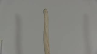 Narwhal Tusk CR156G3253 [upl. by Notlrahc]