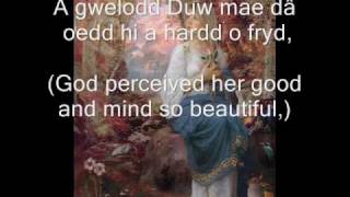 Celtic Love Song from Wales Olwen [upl. by Nuawad]