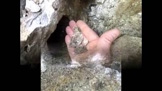 Uncovering a Herkimer Diamond Pocket By American Geode [upl. by Annabal]