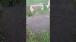 The biggest Ant Hill at the cemetery cemetery headstone tombstone haunted trending [upl. by Neetsyrk155]