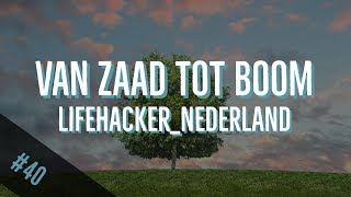 40 DIY appelboom kweken  VAN ZAAD TOT BOOM deel 1 [upl. by Waltner]