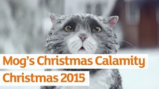 Mog’s Christmas Calamity  Sainsbury’s Ad  Christmas 2015 [upl. by Rolyat]