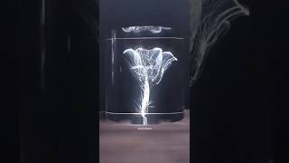 Lichtenberg Effect on Glass sciencefacts science shorts [upl. by Durwood]