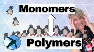 Chemistry Basics Monomers amp Polymers 🐧 [upl. by Lleuqar]