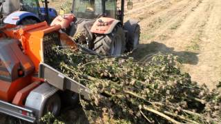 GANDINImeccanicachippershredder woodmachine à bois déchiquetéMaschinen geschreddert Holz [upl. by Dawson]