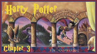 Harry Potter And The Sorcerers Stone Audiobook  Chapter 3 [upl. by Yoreel390]