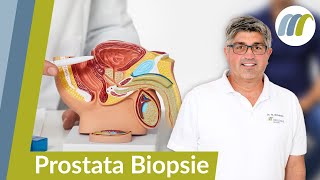 Prostata Krebs sicher feststellen So funktioniert die Prostatastanzbiopsie [upl. by Eleynad]