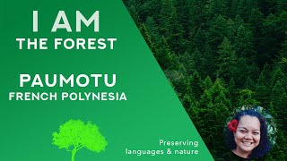 I AM the forest  Paumotu  French Polynesia [upl. by Holmun]