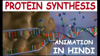 PROTEIN SYNTHESIS ANIMATION IN HINDI BY NILESH ANANDWANI SIR [upl. by Vincenz321]