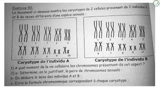 Exercices  Première S  SVT  Les Chromosomes  Suite 2  M Beye [upl. by Otanutrof]