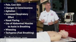 What is Respiratory Arrest [upl. by Kuebbing861]