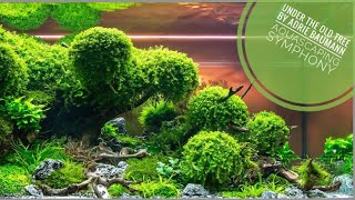 Eheim Proxima 250 at quotThe Art of the Planted Aquarium“ Under the Old Tree [upl. by Ayotahs]