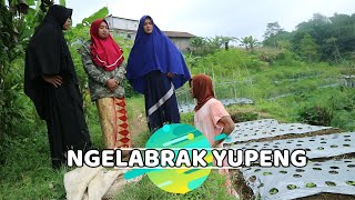 NGLABRAK YUPENG  FILM PENDEK WONOSOBO [upl. by Tim]