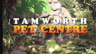 Australian Commercials NBN Tamworth 06111992 [upl. by Stuppy543]