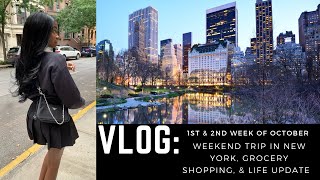 kollege with kiaran vlog weekend trip in NYC grocery shopping amp life update mini grwm [upl. by Enibas208]