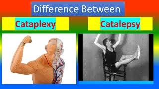 Difference between Cataplexy and Catalepsy [upl. by Aikkin676]