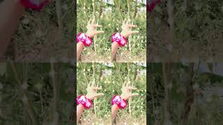 Tune😅subscribe like trending shorts youtubeshorts handdance soumya funnyshorts [upl. by Aniratak]