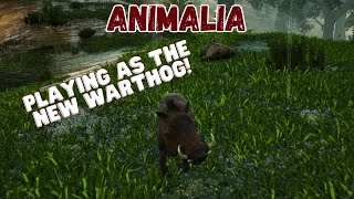 Warthog Gameplay Part 1  Animalia Survival [upl. by Losiram]