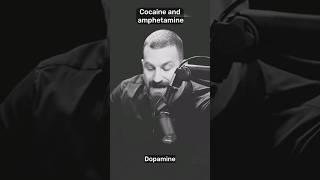 quotCocaine vs Amphetamine  Dopamine Hijackersquot shorts health [upl. by Bowrah]