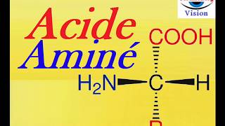 Acides Amines Structures Essentiels des Protéines Cours de Biochimie [upl. by Eziechiele]