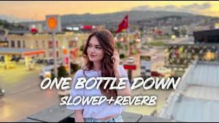 ONE BOTTLE DOWNSLOWEDREVERB Ft Yo Yo Honey Singh 🎧🎵🎧😀 [upl. by Cirtemed]