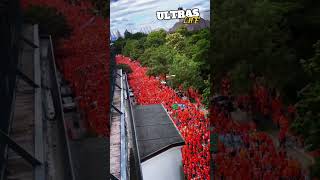 Holland Fanmarsch in Hamburg 1662024  Poland vs Netherlands Euro 2024 [upl. by Donny157]