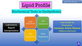 17 Lipid Profile  Biochemical tests in Dyslipidemia  Lipid Metabolism17  Biochemistry [upl. by Kyne619]