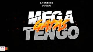 🐱 MEGA TENGO GATAS Intro Bandolero 🐱  DJ GABINHO [upl. by Proud497]