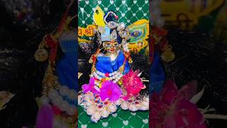 Meri Radha Rani❤ pleasesubscribe radharani radha radhakrishna vrindavan shorts ytshorts yt [upl. by Eirovi330]