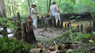 Creek Fishing  Catch clean  cook Longnose Gar [upl. by Yffub]