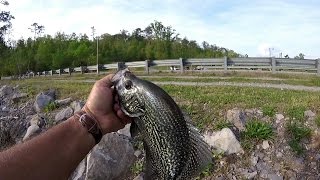 Crappie Fishing Post Spawn  Lake Guntersville [upl. by Nosnek]