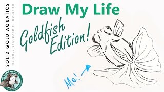 A Happy Draw My Life  GOLDFISH EDITION [upl. by Alikahs]