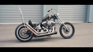 Harley Davidson Softail walk around [upl. by Enirhtac7]