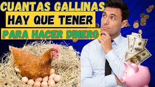 cuantas gallinas hay que tener para que sea rentable y ganar dinero rapido [upl. by Reld]