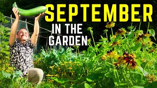 September Garden Jobs Seeds You Should Sow amp QampA [upl. by Kaylil]