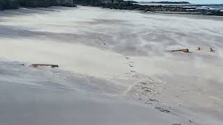 Coastal erosion in East Lothian [upl. by Ennazzus]