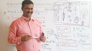 PLANT KINGDOM ALTERNATION OF GENERATION  DILONTIC LIFE CYCLE  LECTURE1 PART5  DR MUKESH KUMAR [upl. by Alit]