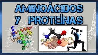 Biomoléculas Aminoácidos y proteínas [upl. by Dleifyar]