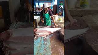 Amazing Big tuna cut by uncle bahar [upl. by Atnamas253]