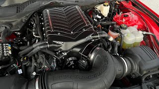 2024 Mustang S650 Whipple Finally Installed [upl. by Renado]