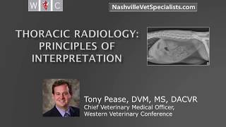 Thoracic Radiology Principles of Interpretation [upl. by Fidole]