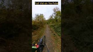 Rasante Abfahrt im Harz Mountainbike im Nordharz [upl. by Olivann126]