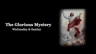 The Glorious Mysteries  VIRTUAL ROSARY  Sundays amp Wednesdays [upl. by Sudaorb346]