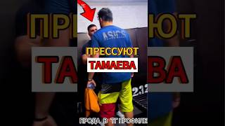 Тамаев матерится😱ПРЕССУЮТ Асхаба ⁉️ тамаев асхабтамаев конфликт драка ссора wengallbi литвин [upl. by Eolande206]