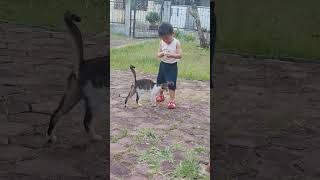 Takung Care Stray Cat cute chineseboy douyin chinaboy cutebaby douyinboy [upl. by Nathanil]