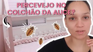 Como acabei com os percevejos em um dia vlog [upl. by Asatan]