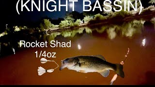 Catch 3x More Bass with a Micro SpinnerbaitNIGHT BASSIN [upl. by Asiulairam]