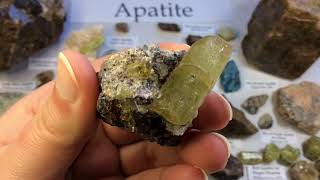 Crystal amp Mineral Education APATITE 💎 [upl. by Aveneg]