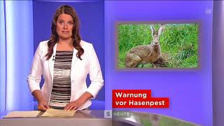 Warnung vor Hasenpest ORF Salzburg heute [upl. by Caruso]